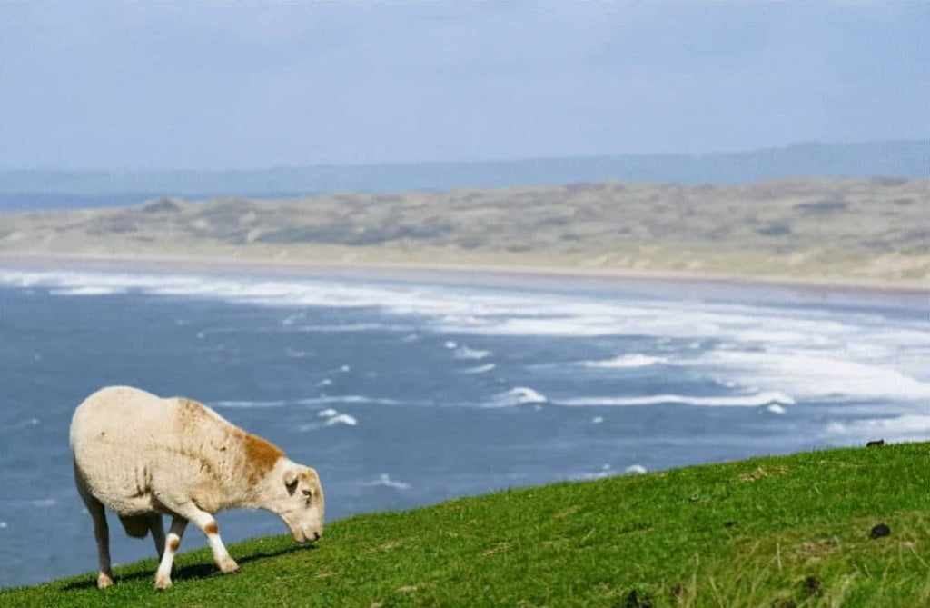 Best Surf Beaches In Wales