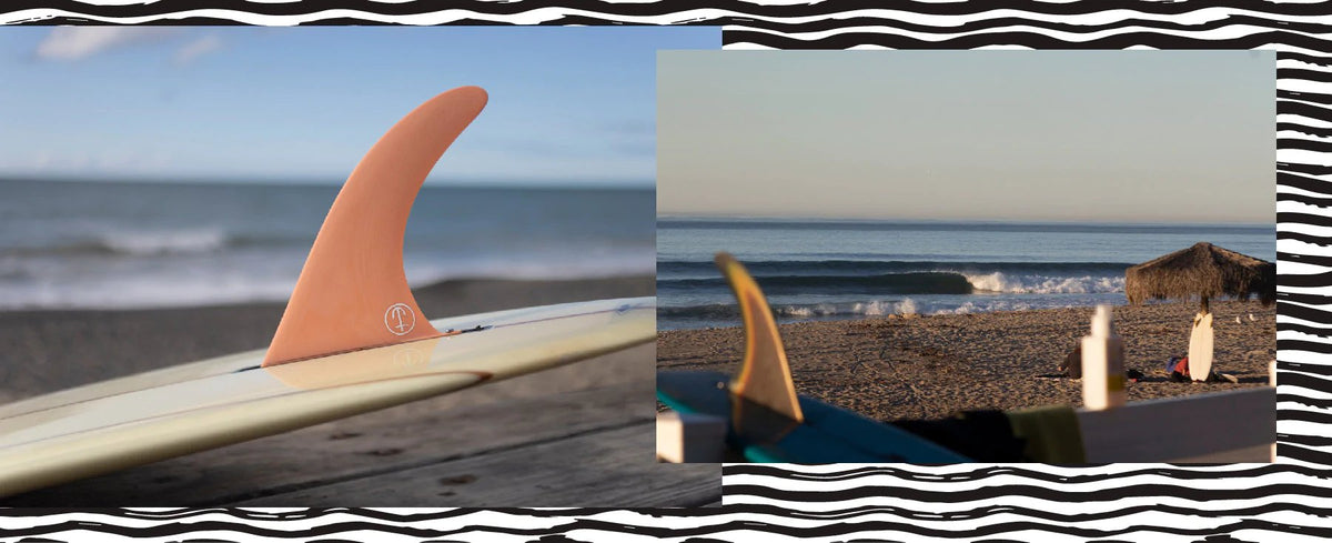 I sold some hipster boards in order to get this hipster board. Say hi to my  finless Lovelace Rabbitsfoot and say goodbye to my MCL : r/surfing