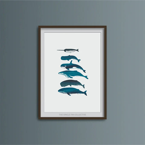 Whale Ocean Creatures Print Surf Print Single Fin Co.